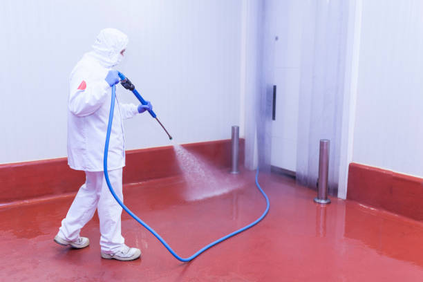Reliable Tuolumne City, CA Pressure Washing Services Solutions